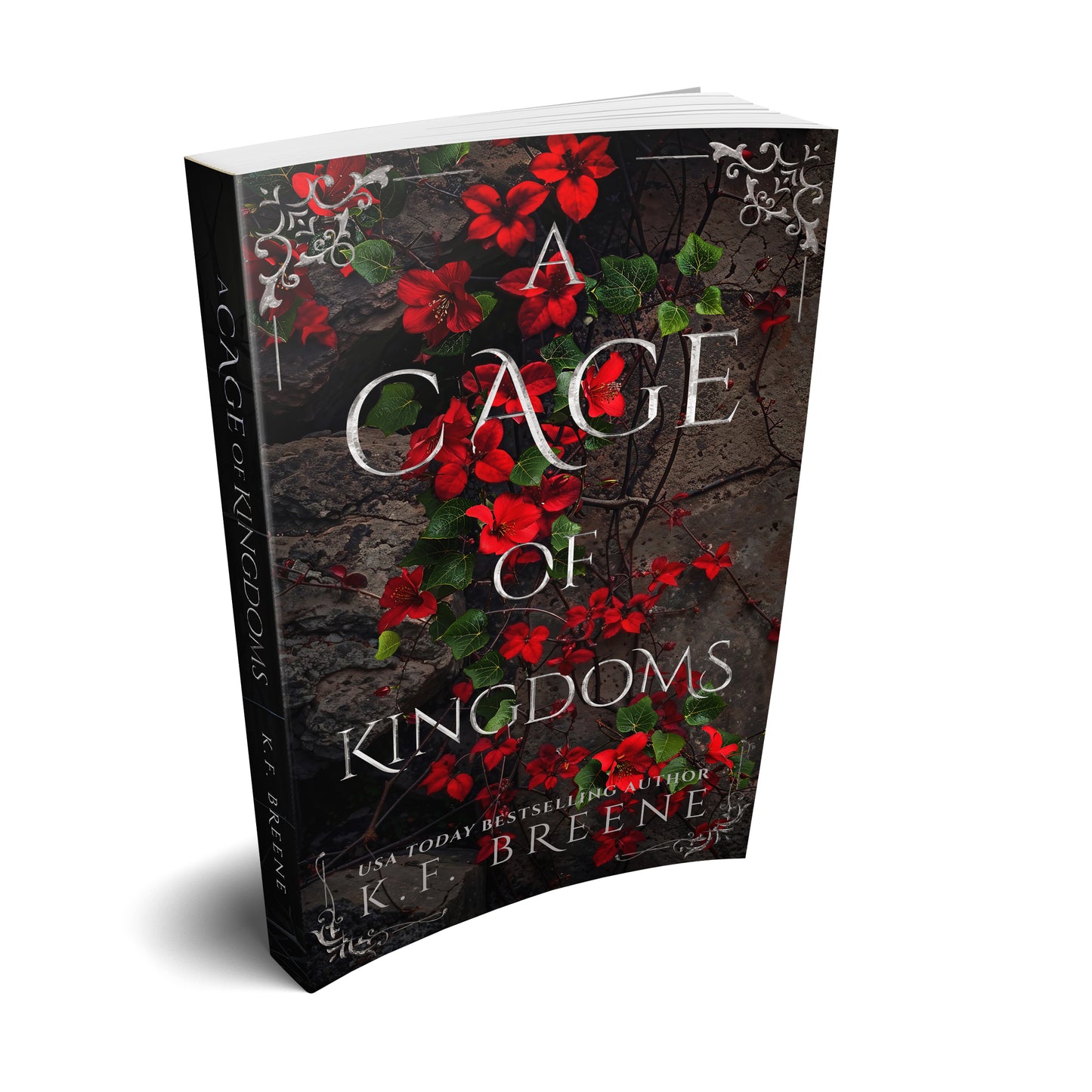 A Cage of Kingdoms paperback (Deliciously Dark Fairytales - Red Riding Hood book 2)