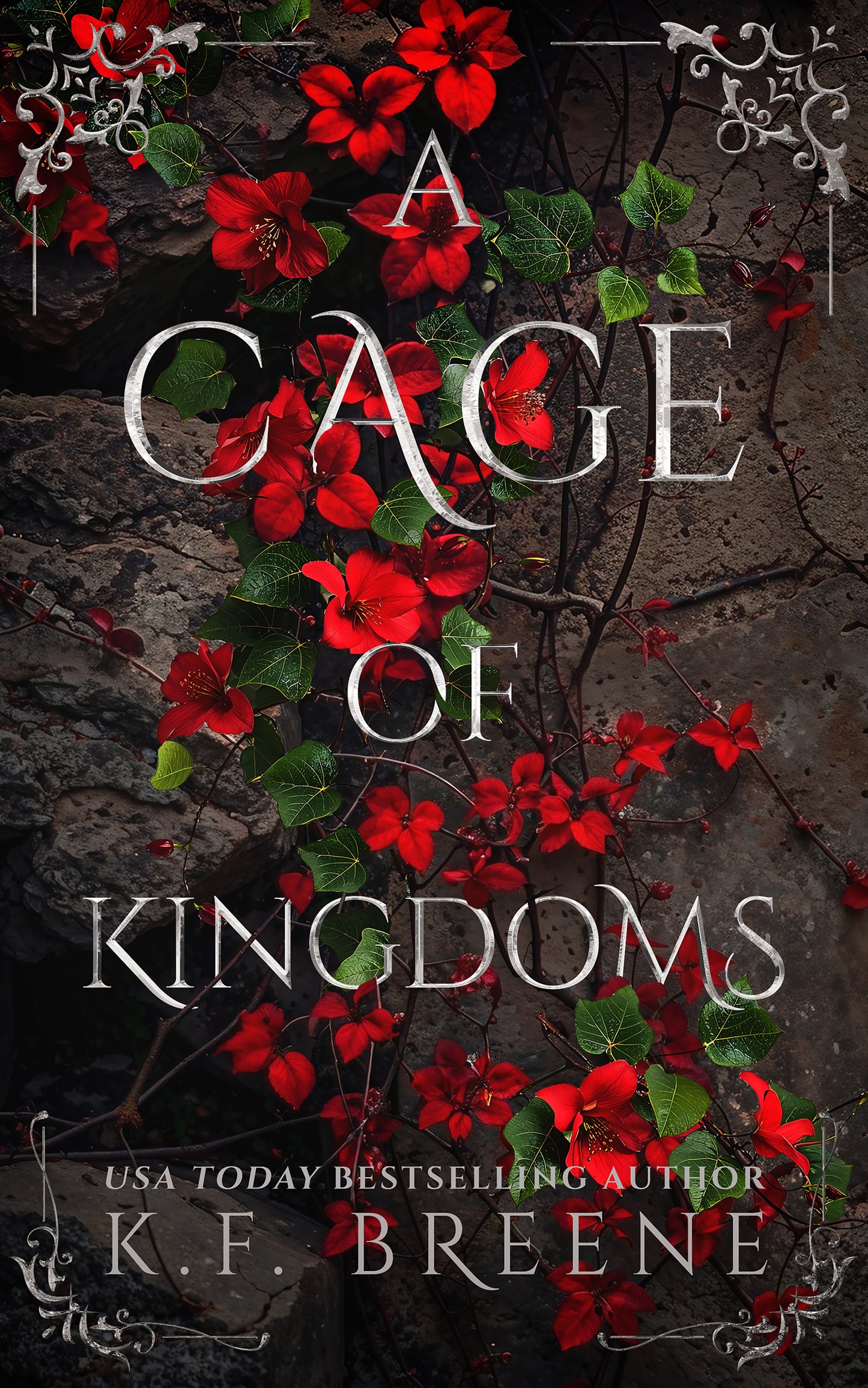 A Cage of Kingdoms paperback (Deliciously Dark Fairytales - Red Riding Hood book 2)