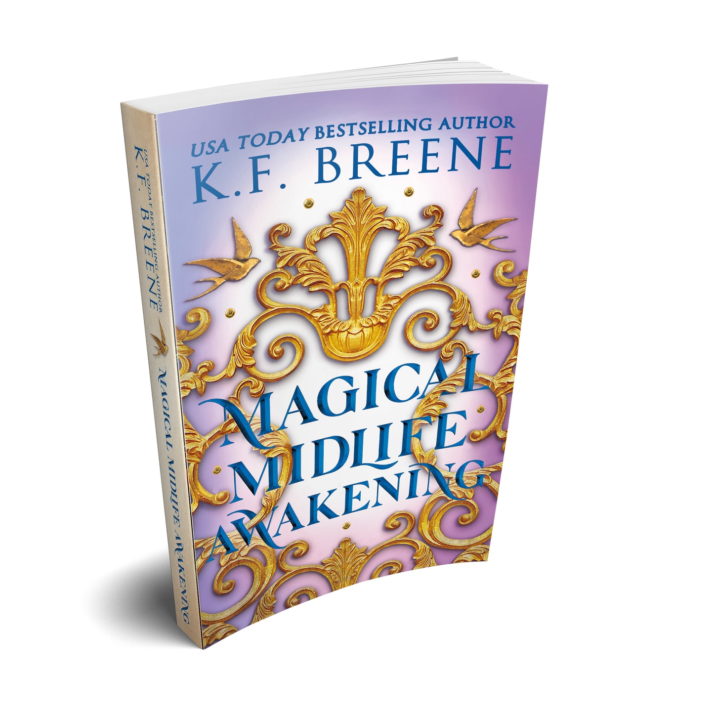 Magical Midlife Awakening (Leveling Up series, book 10), 2nd Edition