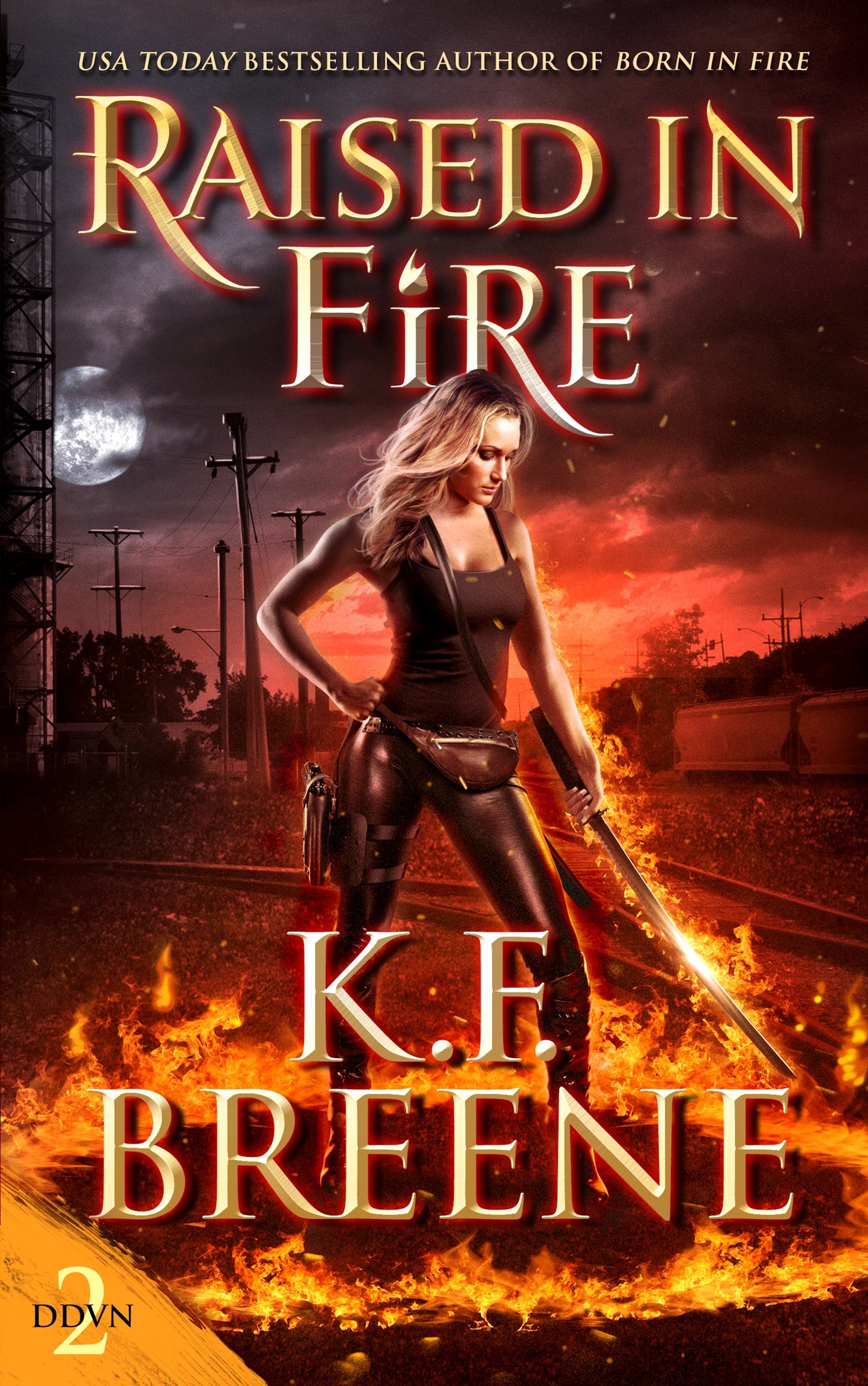 Raised in Fire (DDVN book 2)